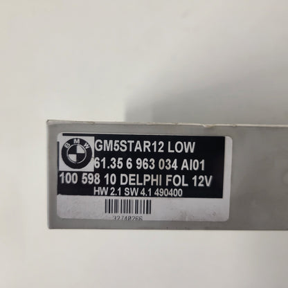 BMW MODULE ECU / 61356963034 / 10059810 / HW21 / GM5 / DELPHI