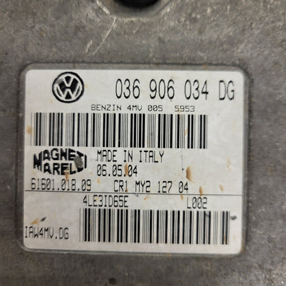 VW ECU / 036906034DG / IAW 4MV.DG / IAW4MV.DG / 61601.018.09 / MAGNETI MARELLI
