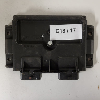 PEUGEOT CITROEN ECU / 9650359580 / R04080028C / 9650360080 / DCN2 / DWLC12 / LUCAS