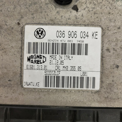SKODA ECU / 036906034KE / IAW 4TV.KE / 61601.313.01 / MAGNETI MARELLI